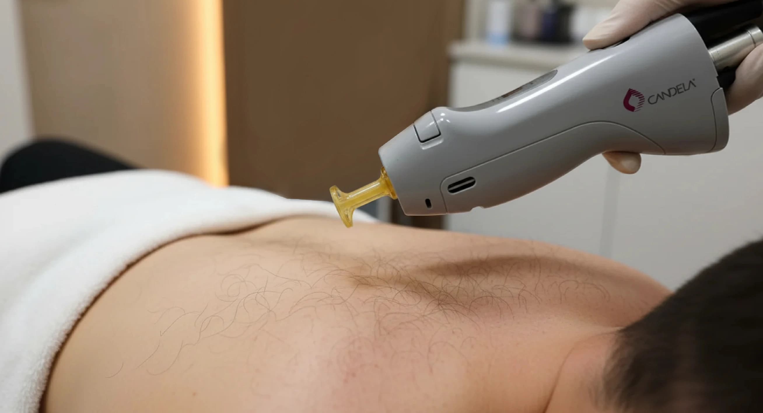 Chest, Abdomen & Back